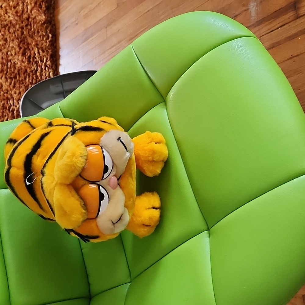 GARFIELD - Picture 4 of 4